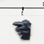 CSM Fist Knuckles 1