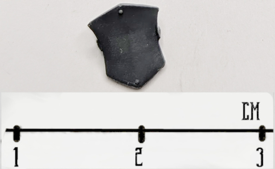 Terminator Shield Bit 1