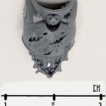 DG Torso Front 6
