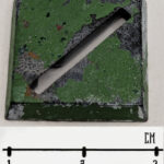 Base 29 (20mm)