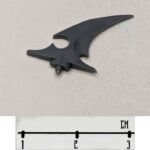 Raider Fin 1