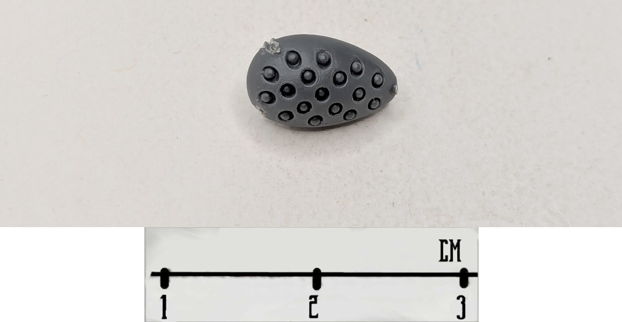Pod 1
