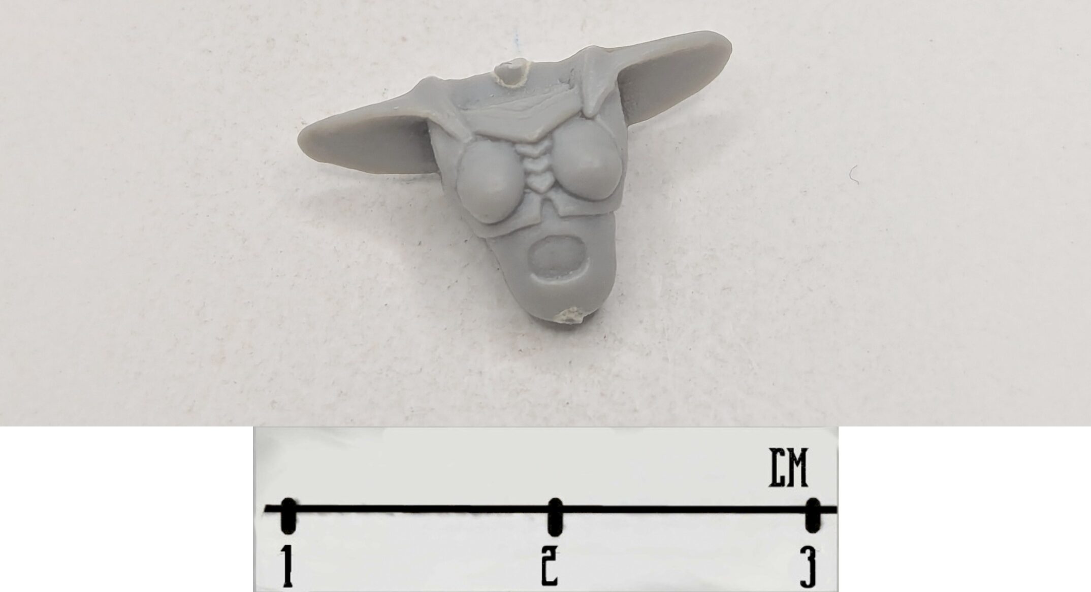 Classic Wych Torso 1