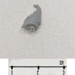 DE Classic Kabalite Head 1