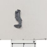 Kabalite Leg 4 R