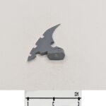 Raider Fin 2