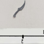 Wych Knife 19