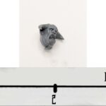 Giant Head 1