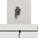 Giant Head 2