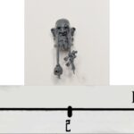 Giant Head 3