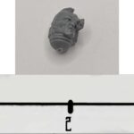 SM Head 7