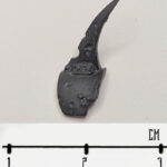 DG Shoulder Pad 2