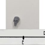 Necron Head 10