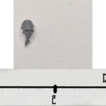 Necron Head 11