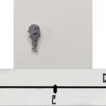 Necron Head 6