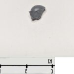 Tau Pathfinder Helmet 1