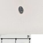 AS Head 2