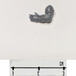 SM Arm 2 L