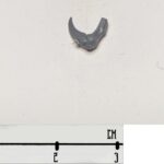 Hook Arm 1