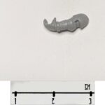 SM Arm 8 L