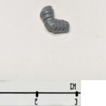 Subjugator Arm 1 R