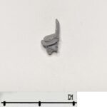 Head 65
